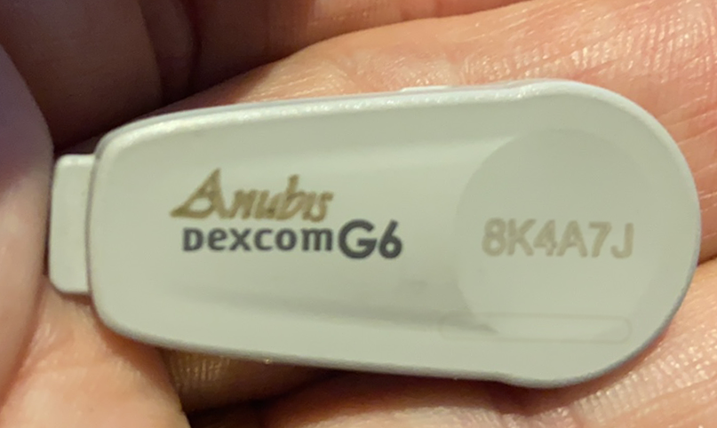 Easiest Way to Reuse Dexcom G6 Transmitter & Restart Dexcom G6 Sensors  Again! 